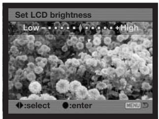 KONICA MINOLTA DIMAGE A2 - LCD Brightness - 4