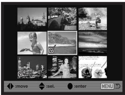 KONICA MINOLTA DIMAGE A2 - Frame-selection Screen - 1
