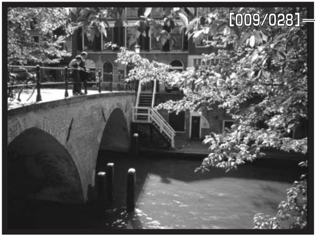 KONICA MINOLTA DIMAGE A2 - Slide Show - 2