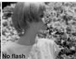 KONICA MINOLTA DIMAGE A200 - ABOUT EXPOSURE AND FLASH COMPENSATION - 7