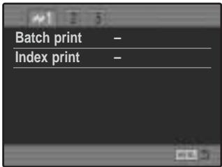 KONICA MINOLTA DIMAGE A200 - NAVIGATING THE PICTBRIDGE MENU - 8