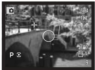 KONICA MINOLTA DIMAGE A200 - SPOT AE AREA - 1