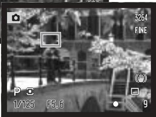 KONICA MINOLTA DIMAGE A200 - SPOT AF AREAS - 6