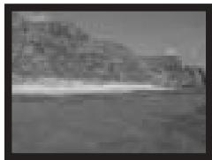 KONICA MINOLTA DIMAGE A200 - DISPLAY INFORMATION BUTTON - 3