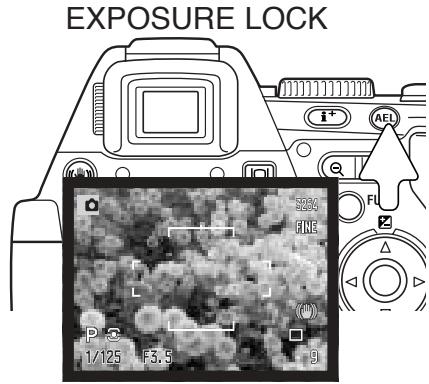 KONICA MINOLTA DIMAGE A200 - Shooting tips - 2