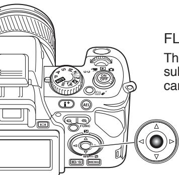 KONICA MINOLTA DIMAGE A200 - SPOT AF AREAS - 7