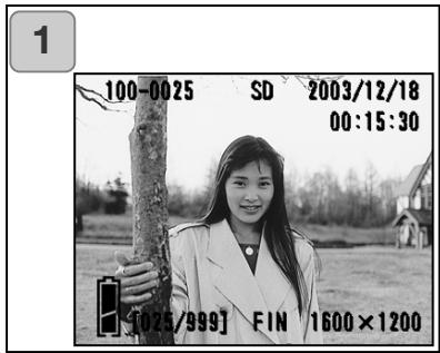 KONICA MINOLTA DIMAGE G500 - Lecture d'images agrandies (zoom numérique) - 1