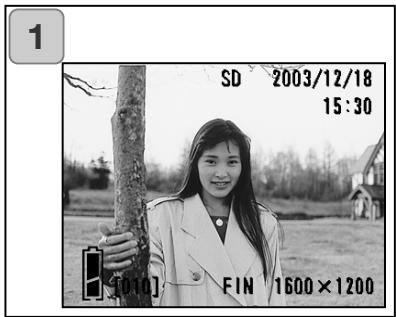 KONICA MINOLTA DIMAGE G500 - Prise de vues avec l'écran ACL - 1