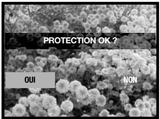KONICA MINOLTA DIMAGE G530 - Protection - 8
