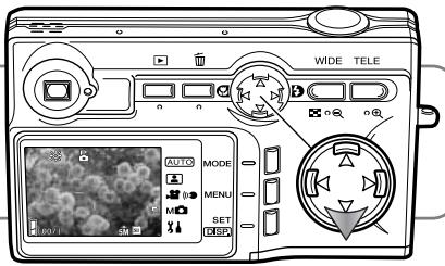 KONICA MINOLTA DIMAGE G530 - Notes - 1