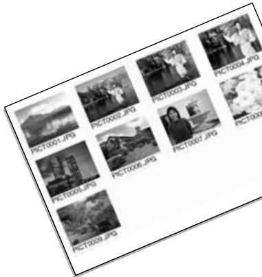 KONICA MINOLTA DIMAGE S304 - ORDERING AN INDEX PRINT - 1