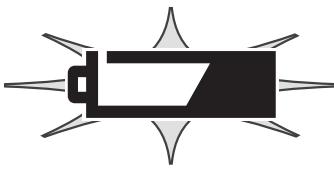 KONICA MINOLTA DIMAGE S304 - BATTERY CONDITION INDICATOR - 3