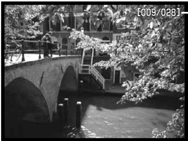 KONICA MINOLTA DIMAGE S404 - PLAYBACK-MODE MENU - CUSTOM 1 (SLIDE SHOW) - 1