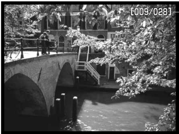 KONICA MINOLTA DIMAGE S414 - SLIDE SHOW - 1