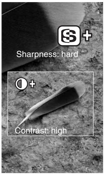 KONICA MINOLTA DIMAGE S414 - IMAGE CONTROL - SHARPNESS, CONTRAST, &amp; FILTER - 3