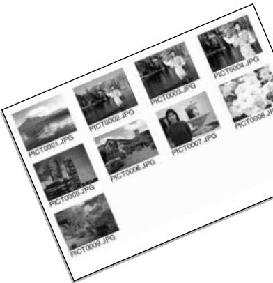 KONICA MINOLTA DIMAGE S414 - ORDERING AN INDEX PRINT - 1