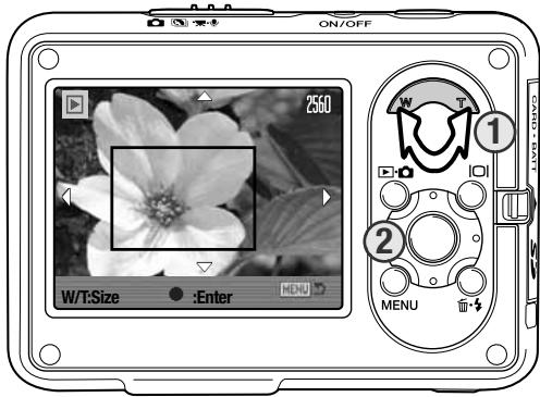 KONICA MINOLTA DIMAGE X1 - CROP FRAME - 2