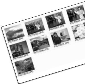 KONICA MINOLTA DIMAGE X1 - INDEX PRINT - 1