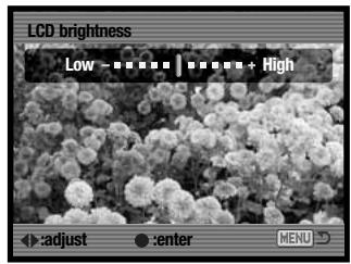 KONICA MINOLTA DIMAGE X1 - LCD MONITOR BRIGHTNESS - 3