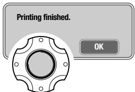 KONICA MINOLTA DIMAGE X1 - DPOF print - 2