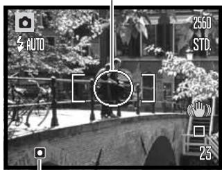 KONICA MINOLTA DIMAGE X1 - METERING MODES - 2