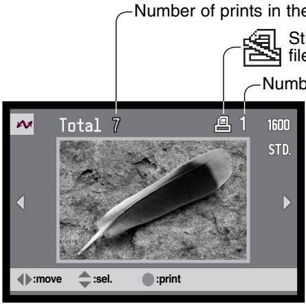 KONICA MINOLTA DIMAGE X20 - USING USB DIRECT-PRINT - 2