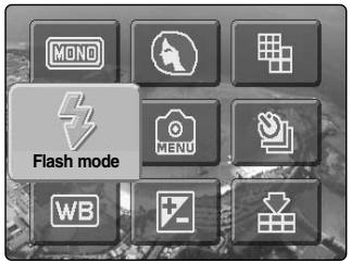 KONICA MINOLTA DIMAGE X20 - ENLARGED PLAYBACK - 13
