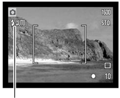 KONICA MINOLTA DIMAGE X20 - FLASH SIGNALS - 1