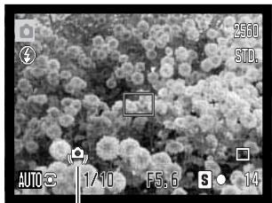 KONICA MINOLTA DIMAGE Z20 - Camera-shake warning - 1