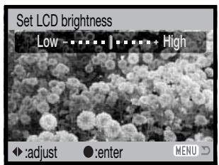 KONICA MINOLTA DIMAGE Z20 - Adjusting monitor brightness - 3