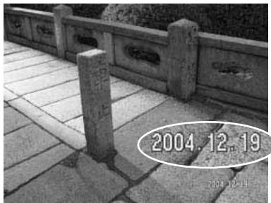 KONICA MINOLTA DIMAGE Z20 - Date imprinting - 2