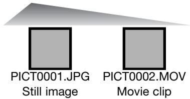 KONICA MINOLTA DIMAGE Z20 - Folder organization - 6