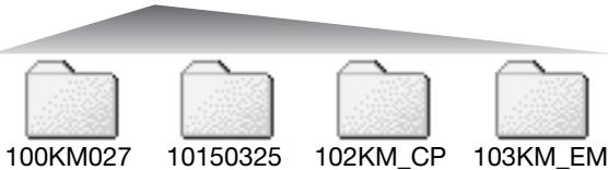 KONICA MINOLTA DIMAGE Z20 - Folder organization - 5