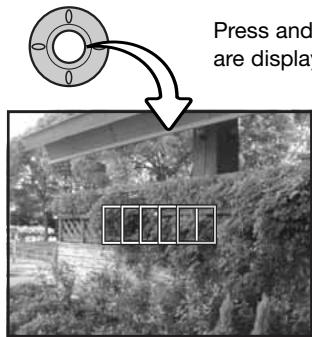 KONICA MINOLTA DIMAGE Z5 - Focus area selection - 1