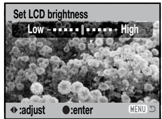 KONICA MINOLTA DIMAGE Z5 - LCD Monitor Brightness - 5