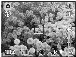 KONICA MINOLTA DIMAGE Z5 - Camera-shake warning - 1