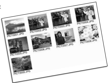 KONICA MINOLTA DIMAGE Z5 - Index Print - 1