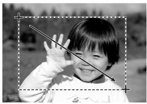 KONICA MINOLTA DIMAGE SCAN DUAL III - Prescanning the cropped area - 3