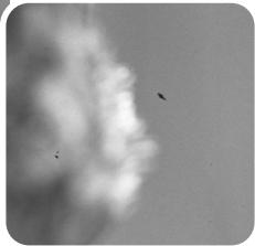 KONICA MINOLTA DIMAGE SCAN DUAL III - Auto Dust Brush - Removing the effect of dust - 4