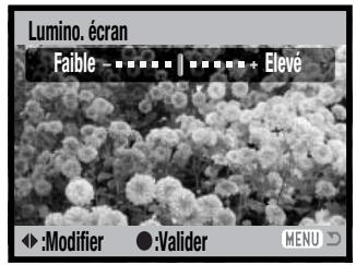 KONICA MINOLTA DIMAGE Z3 - Luminosité de l'écran ACL - 4