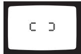 KONICA MINOLTA FREEDOM 160 - Focus-frame Display - 3