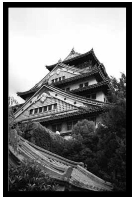 KONICA MINOLTA SCAN DUAL II - Rotate - 4
