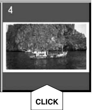 KONICA MINOLTA SCAN DUAL II - Click on an image to select it for scanning. - 7