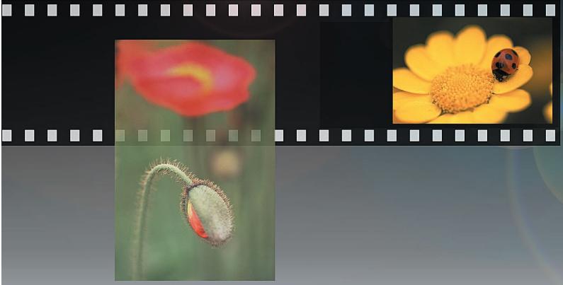 KONICA MINOLTA SCAN DUAL III - The essentials of imaging - 2