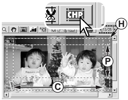 KONICA MINOLTA SCAN DUAL IV - CHP button (APS film) - 1