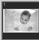 KONICA MINOLTA SCAN DUAL IV - Selecting index thumbnails - 2