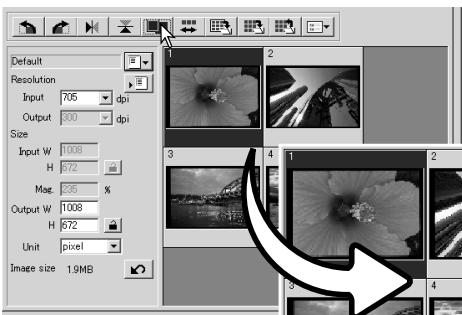KONICA MINOLTA SCAN DUAL IV - Fit-to-window button - 1