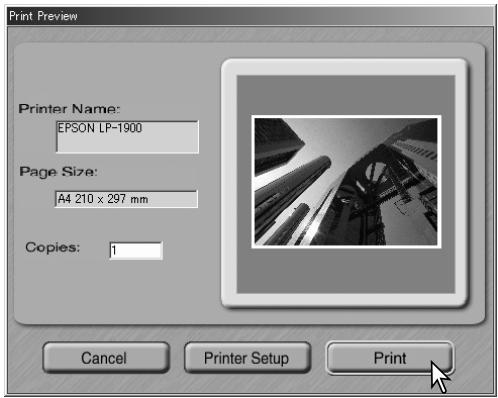 KONICA MINOLTA SCAN DUAL IV - Scanner Notes (Macintosh) - 6