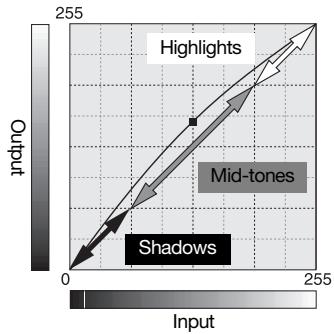 KONICA MINOLTA SCAN DUAL IV - A short guide to tone curve corrections - 1