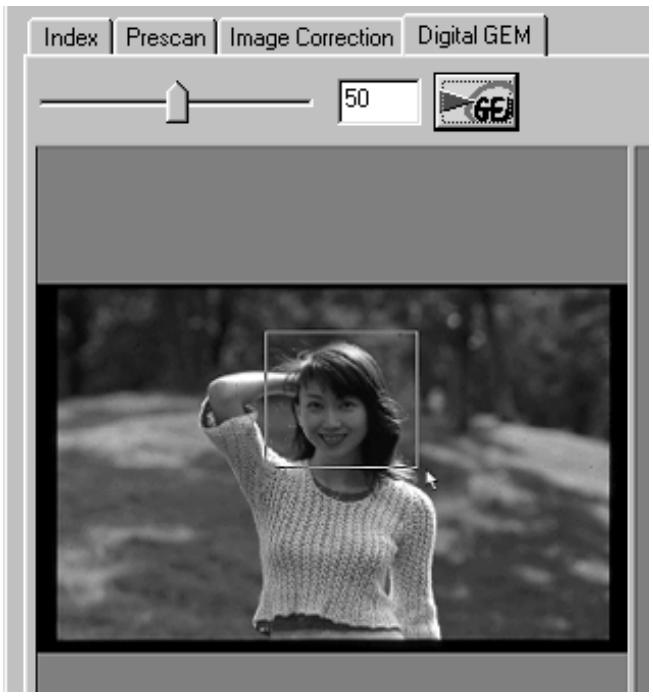 KONICA MINOLTA SCAN MULTI II SOFTWARE - Digital GEM Adjust slider - 3